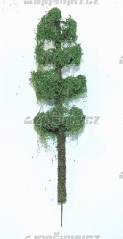 Listnat strom 15 cm