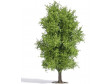 H0 - Listnat strom - jarn, 115 mm