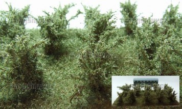Vysok kee - zelen vrbov - jemn list