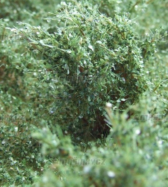 Vysok kee - Zelen dubov - stedn list #2