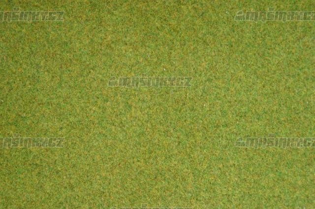 Travn koberec - jarn louka #1