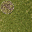 Travn trsy dvoubarevn, 4 mm, jarn