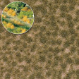 Travn trsy, 2 mm, podzimn