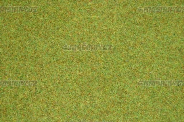 Travn koberec - letn louka #1