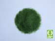 Statick trva "zelen"  6,5 mm
