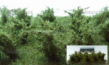 Vysok kee - zelen osikov - stedn list