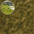 Travn trsy dvoubarevn, 6 mm, pozdn lto