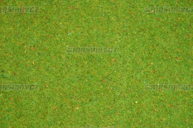 Travn koberec - kvtinov louka #1
