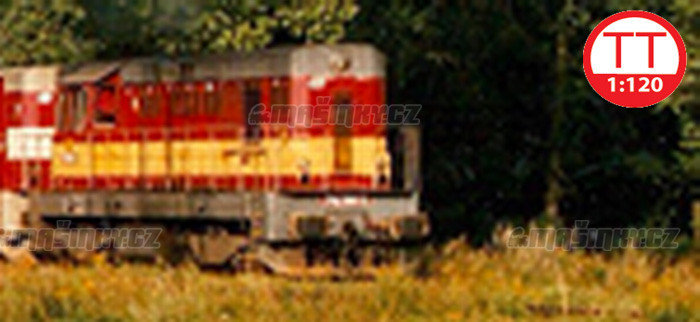 TT - Dieselov lokomotiva 742 194 - D (analog) #1