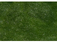 Statická tráva letní, 2 mm