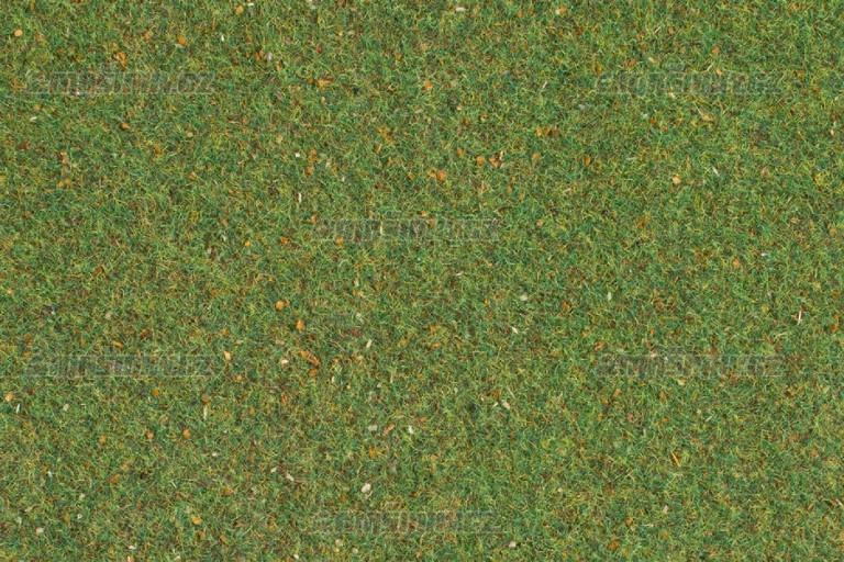 Travn koberec - stedn zelen #1