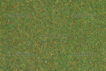 Travn koberec - stedn zelen