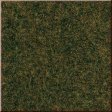 Travn koberec - lesn pda