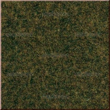 Travn koberec - lesn pda