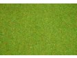Travn koberec - kvtinov louka