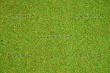 Travn koberec - kvtinov louka
