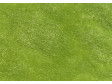 Statická tráva jarní, 4,5 mm
