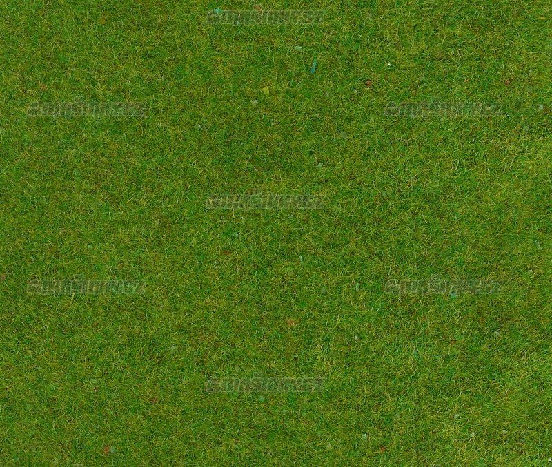 Travn koberec - jarn louka #1