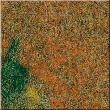 Travn koberec - letn louka