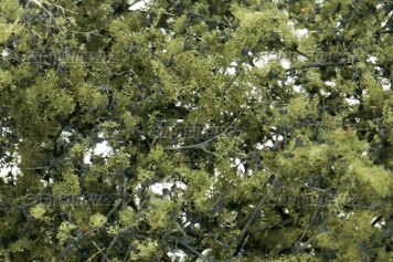 Jemn listov foli - olivov zelen