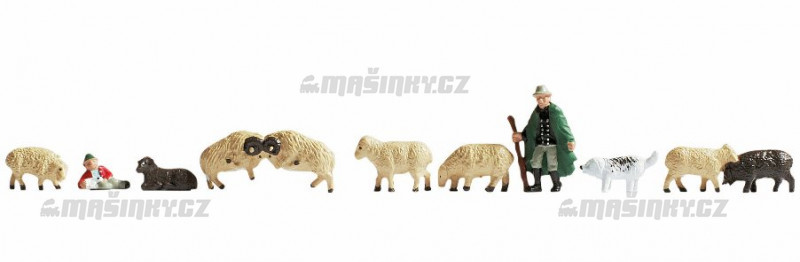 TT - Past a ovce #1