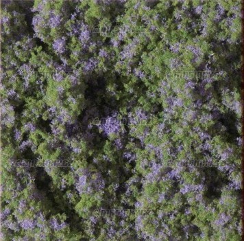 Kvtinov koberec - fialov