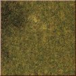 Travn koberec - podzimn louka