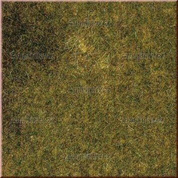 Travn koberec - podzimn louka