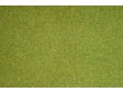 Travn koberec - jarn louka