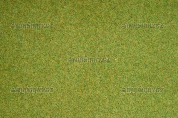 Travn koberec - jarn louka
